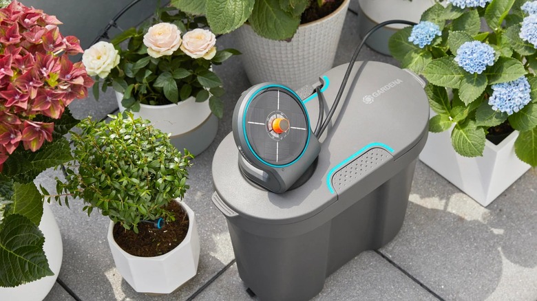 Gardena Aquabloom Automatic Plant Watering System watering multiple plants