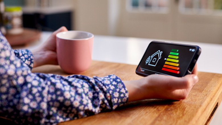 Representation of home energy monitoring on smartphone