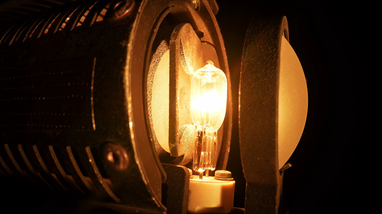 A halogen bulb illuminating