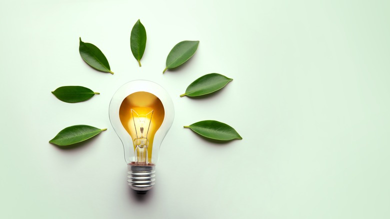 green energy lightbulb