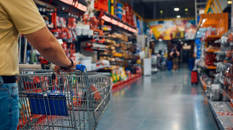 Person pushing shopping cart through hardware store