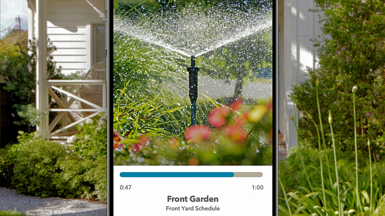 The Rachio 3 Smart Sprinkler Controller in action via a smartphone feed.