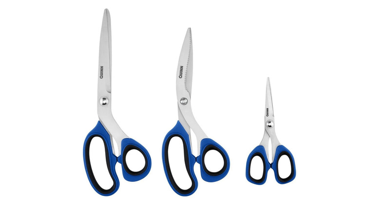 Picture showing Quinn scissors