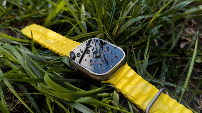 Apple Watch Ultra in wet grass