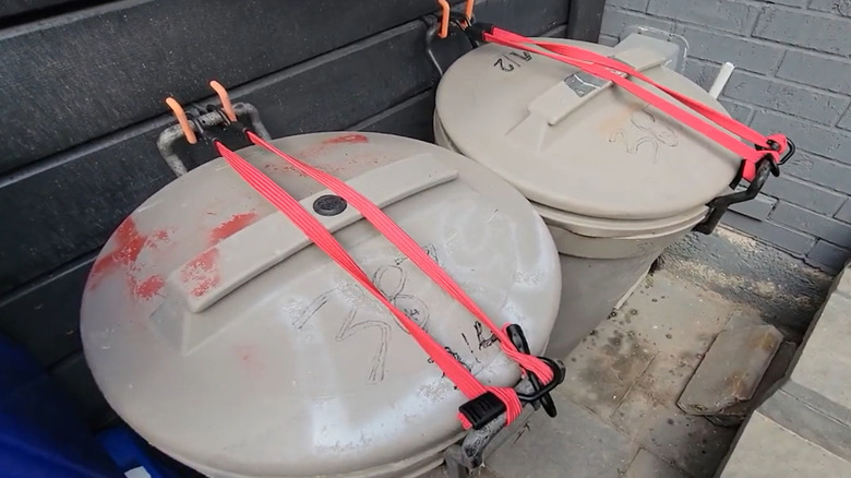 Bungee cords securing a trash can lid