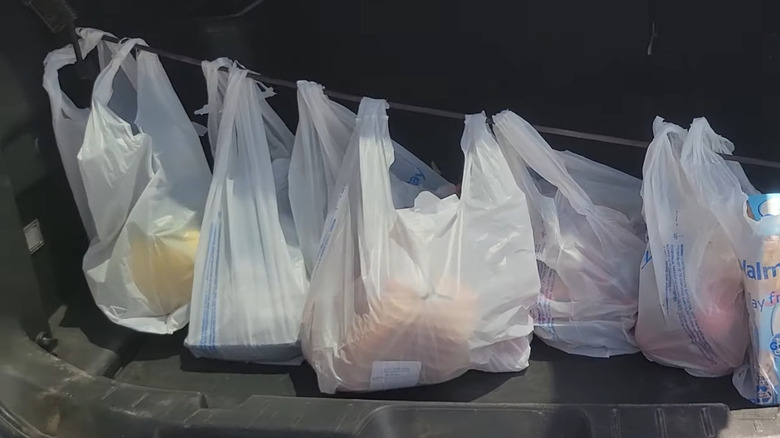 Bungee cord keeping grocery bags in place