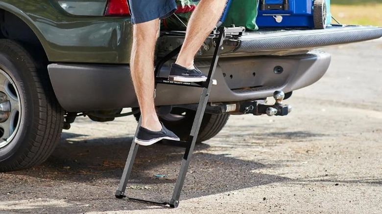 Person climbing truck bed ladder