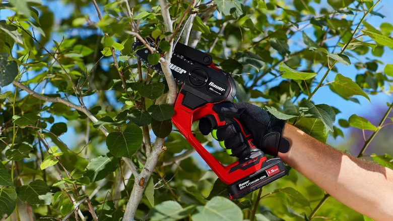 Man's arm holding Bauer pruning saw against tree branch
