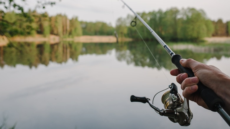 person holding rod and fishing