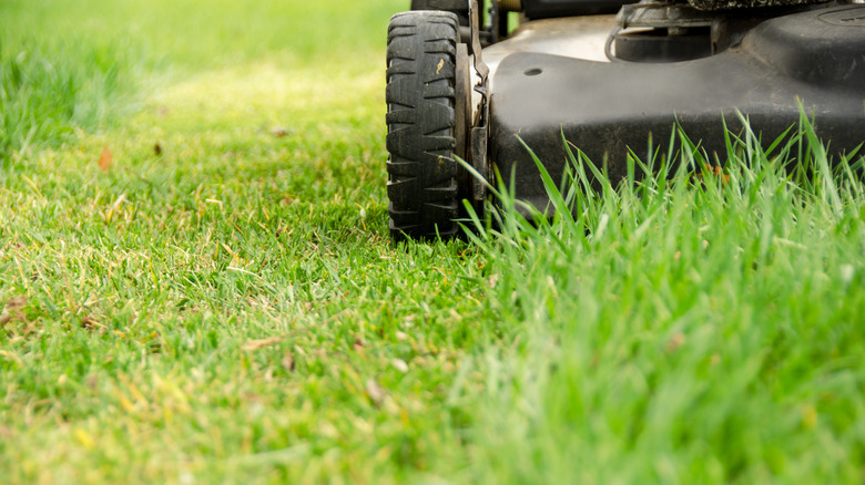 Mower cutting grass