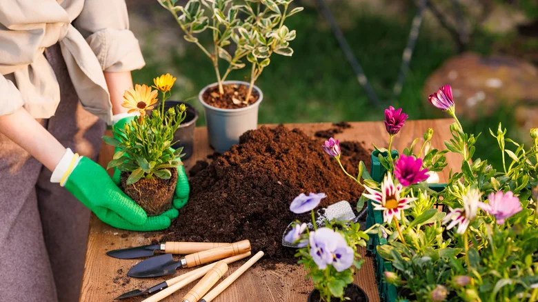 5 Harbor Freight Gardening Tools You Probably Didn't Realize Existed