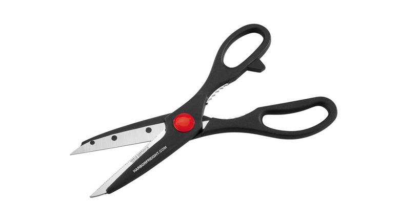 Gordon Scissors set against a white background