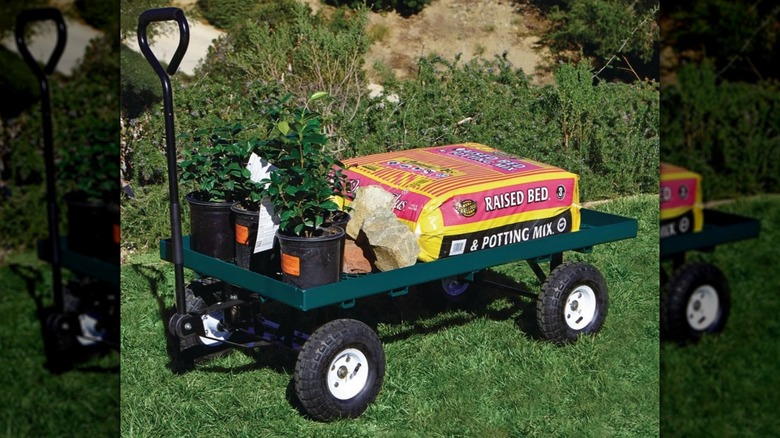 wagon with potting mix and plants