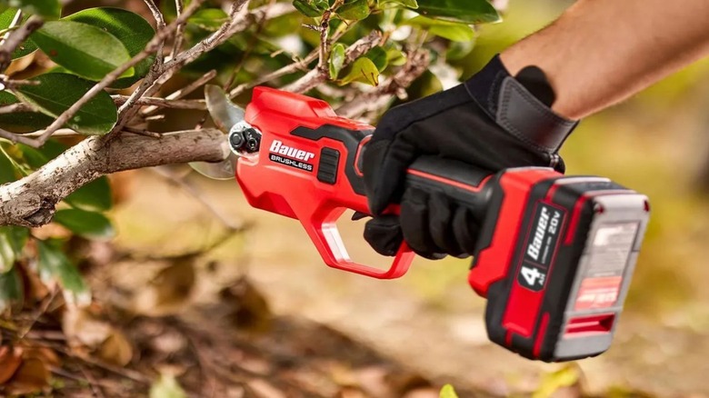 Man using Bauer Cordless Pruner to trim hedges