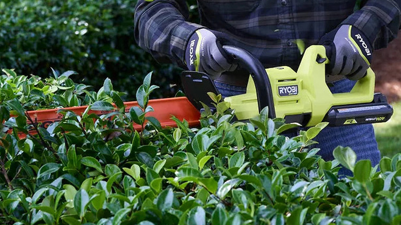 person using a Ryobi 40V HP brushless 26-inch hedge trimmer