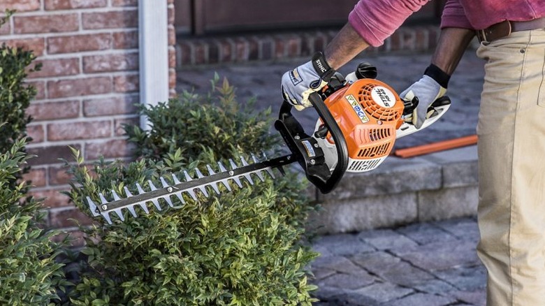 man using a Stihl HS 45 gasoline hedge trimmer