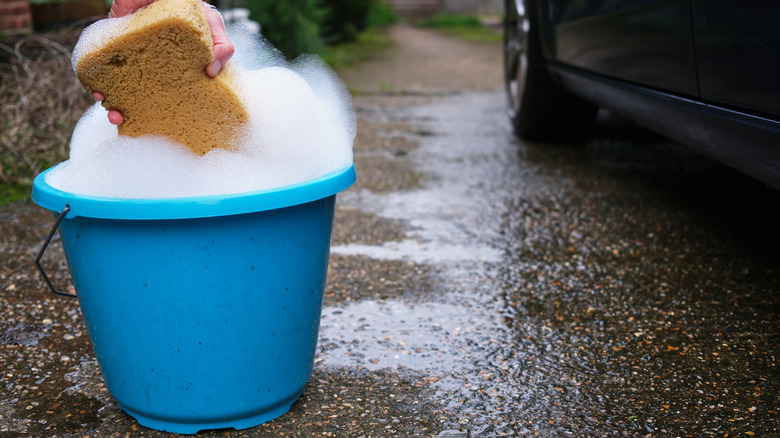 A person dipping a sponge into a blue bucket filled with soap suds next to a parked vehicle