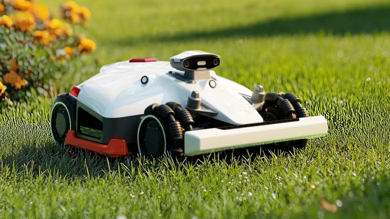 Mammotion Luba 2 AWD 5000HX 15.8-inch Robot Lawn Mower sitting on grass