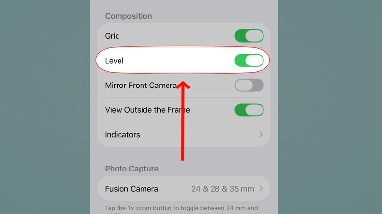 The level option in the iPhone camera settings