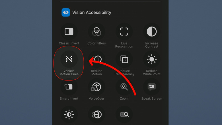 The Vehicle Motion Cues control in the list of control center options