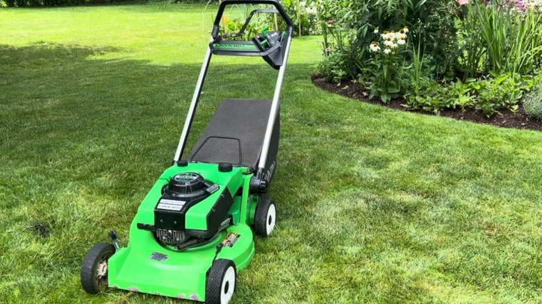 Lawn-Boy mower in a yard