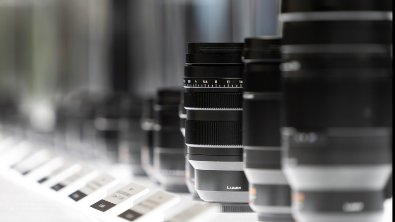 a line of lenses on a display shelf