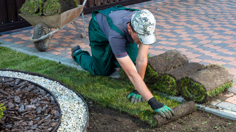 Landscaper putting down turf