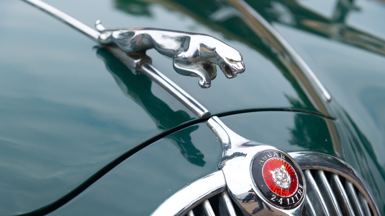 Jaguar hood ornament