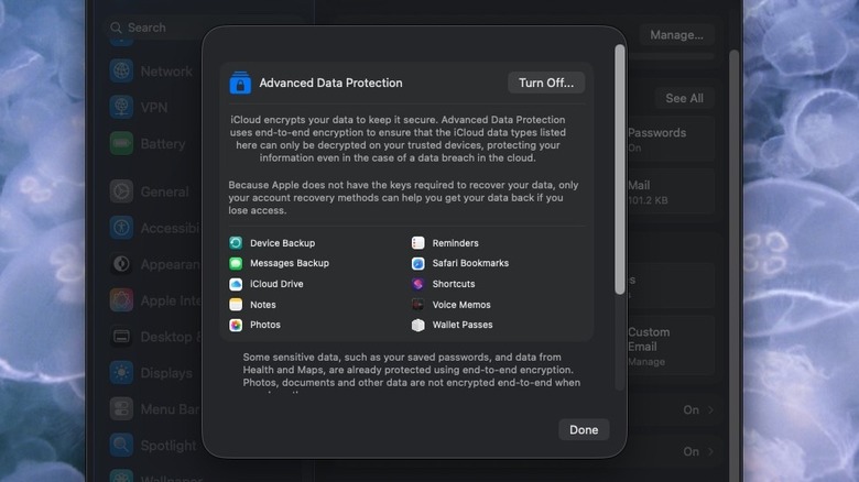 Advanced Data Protection Settings on Mac OS