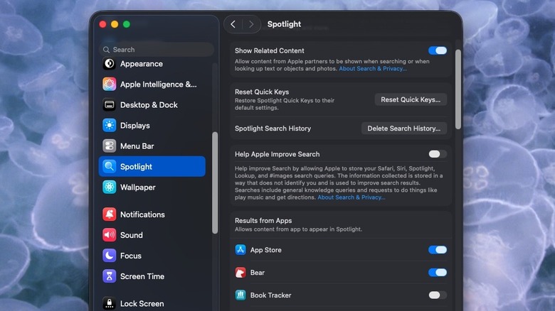 Spotlight settings on Mac OS