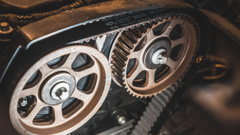 Close-up of timing belt on a double overhead-cam engine