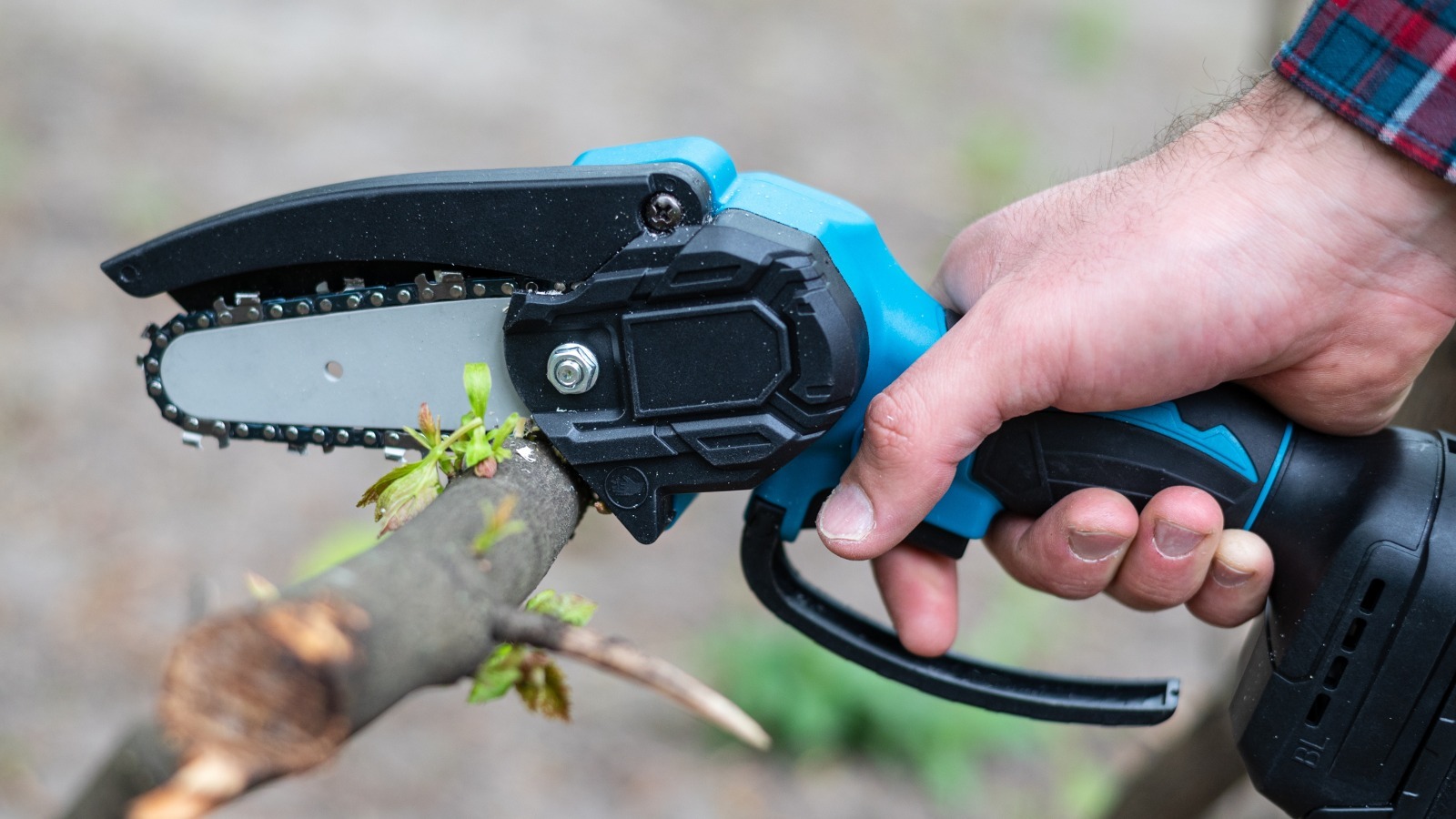 5 Mini Chainsaws That Could Come In Handy For Camping And Overlanding