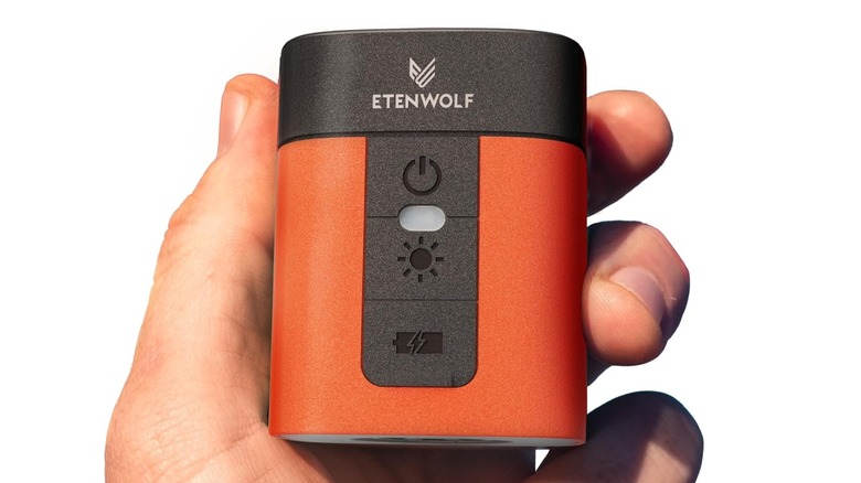 person holding air pump