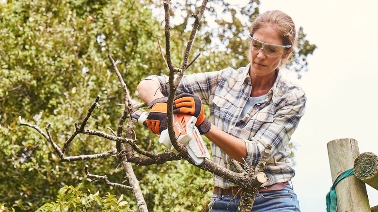 Person using a miniature Stihl chainsaw
