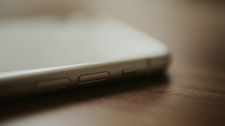iPhone mute switch
