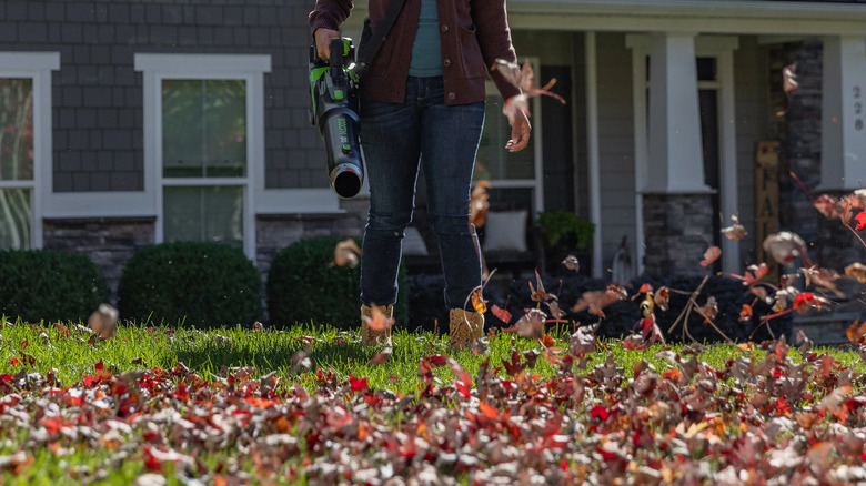 A person using a Greenworks leaf blower on many orange fallen leaves