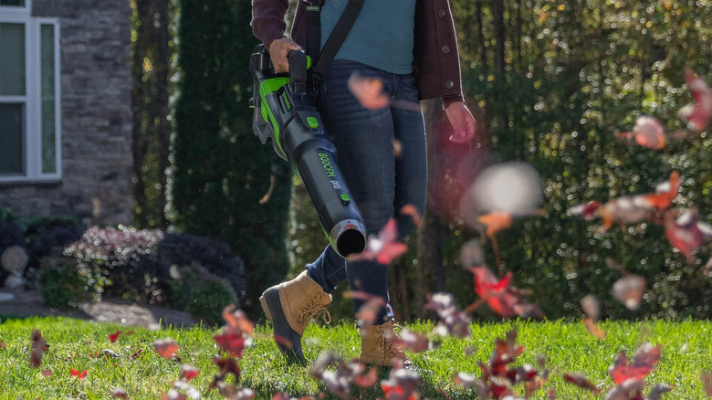 A person uses a Greenworks leaf blower on fallen leaves