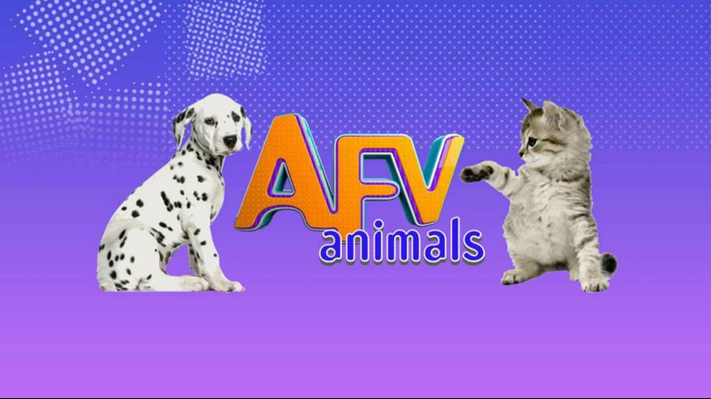 AFV animals screengrab