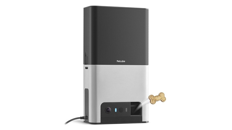 Petcube Bites 2 Wi-Fi Pet Camera