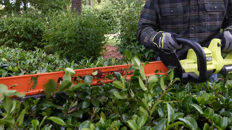 A person using a Ryobi 40V HP Brushless 26" Hedge Trimmer.