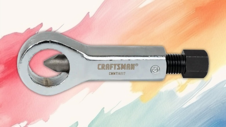 Auto Universal Nut Cracker on a painted background.