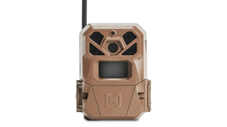Brown moultrie camera wrapped around a tree with a smiling man examining his smartphone