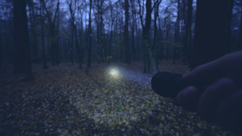 A hunter in the forest holding a flashlight.