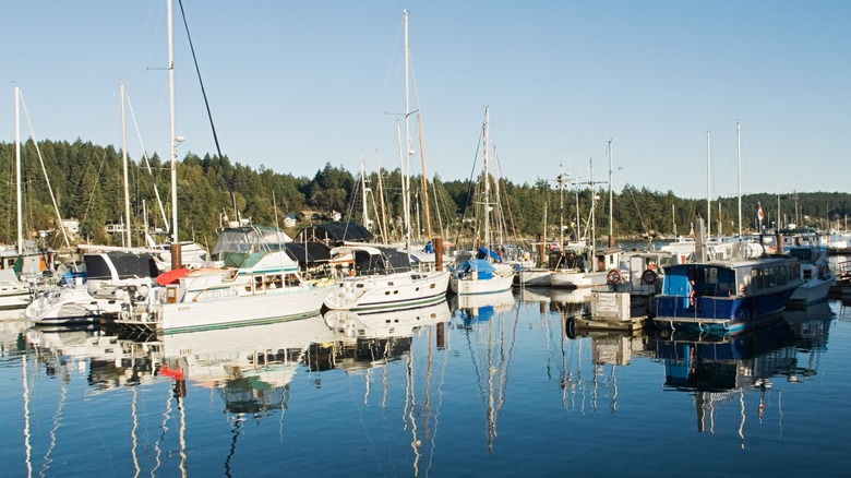Marina at day