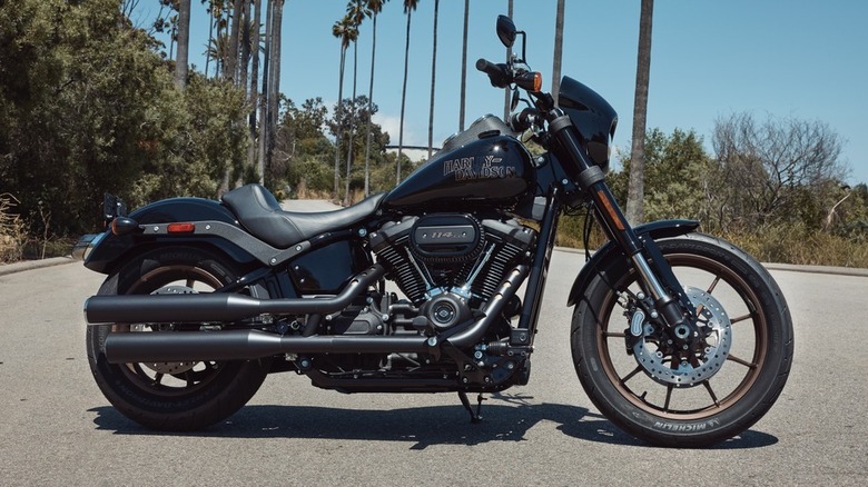 Sideways view of the Harley-Davidson 2017 Dyna Low Rider S, with palm trees and a road in the background
