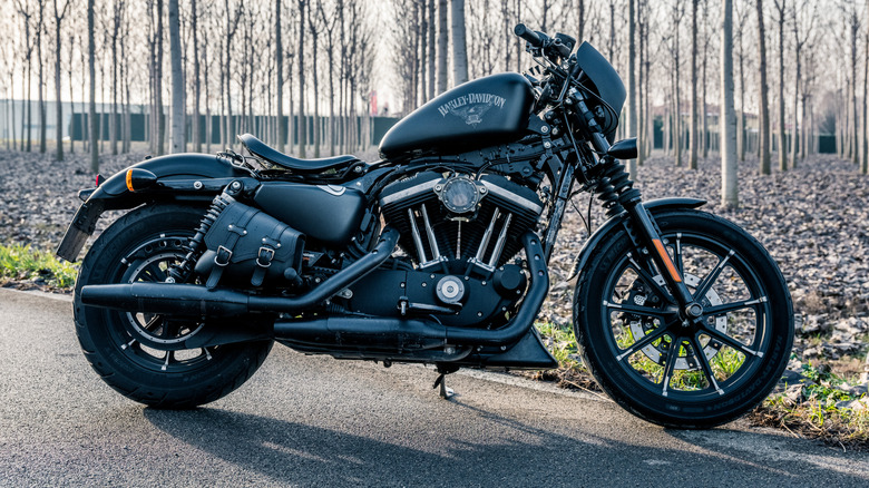 Sideways view of the Harley-Davidson 2018 Iron 883 with a forest as the backdrop