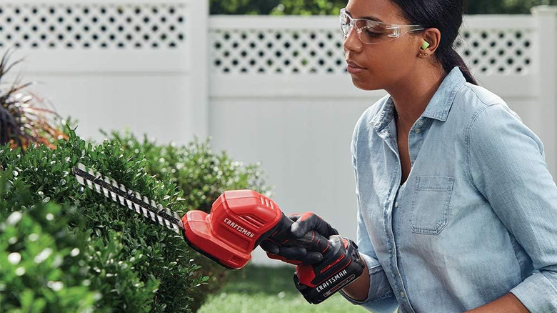 A woman trimming a hedge