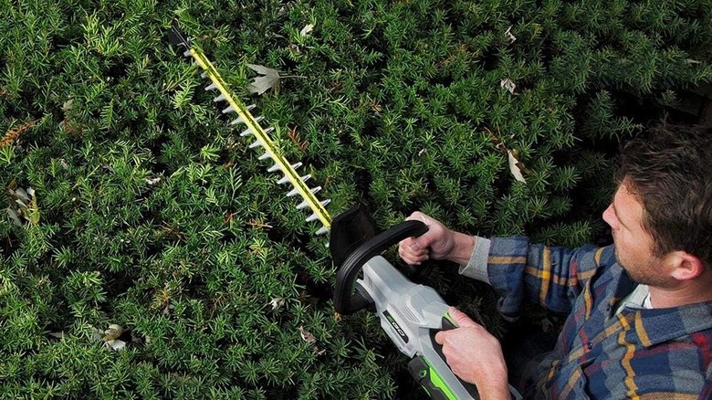 A man tacking a hedge with a EGO Power+ HT2411.