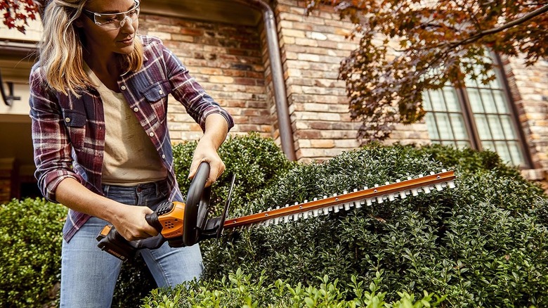 A woman using the WORX WG261 20V Cordless Hedge Trimmer.