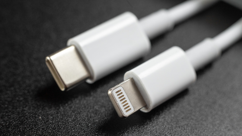 USB-C and Lightning cables